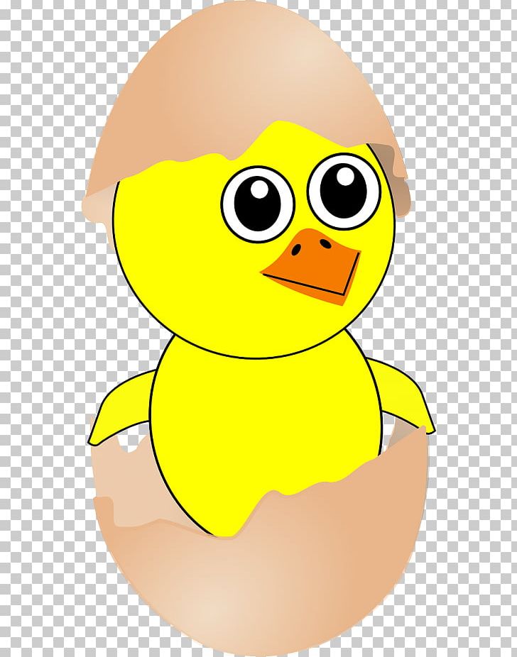 Chicken Bird Egg PNG, Clipart, Animals, Art, Beak, Bird, Cartoon Free PNG Download