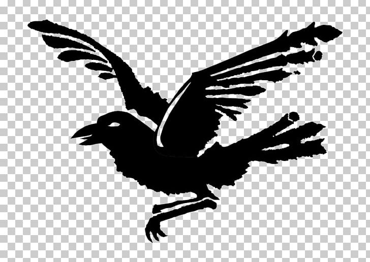 Jagdstaffel 18 Drawing Wikipedia PNG, Clipart, Beak, Bird, Bird Of Prey, Black And White, Crow Free PNG Download