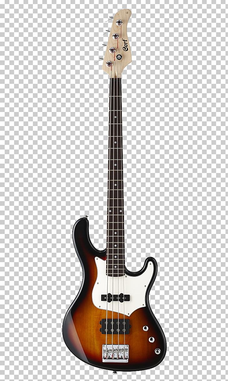 String Instruments Bass Guitar Musical Instruments Cort Guitars Double Bass PNG, Clipart, Double Bass, Guitar Accessory, Music, Musical Instrument, Musical Instruments Free PNG Download