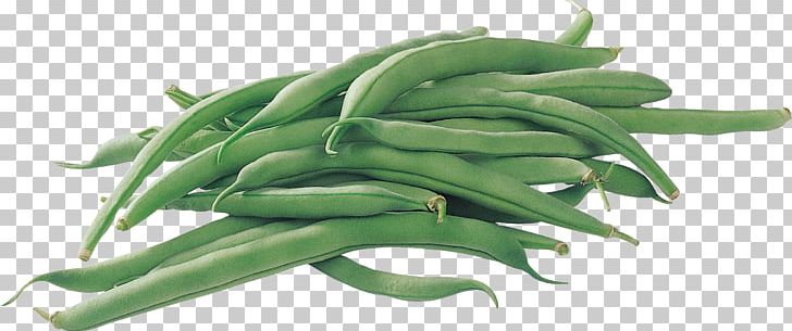 Common Bean Green Bean Pea Legume Vegetable PNG, Clipart, Bean, Black Beans, Commodity, Common Bean, Food Free PNG Download