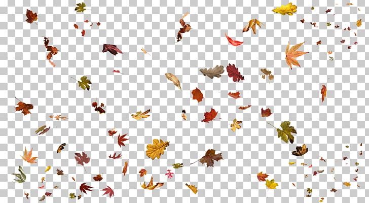 Leaf PNG, Clipart, Autumn, Branch, Clip Art, Deviantart, Falling Leaves Free PNG Download