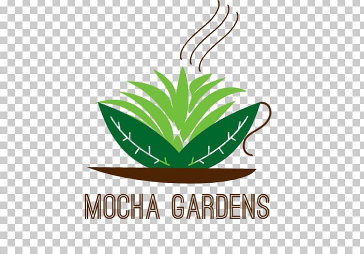 Leaf Logo Brand Plant Stem Font PNG, Clipart, Aloe, Aloe Vera, Brand, Garden Logo, Leaf Free PNG Download