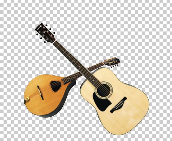 Acoustic Guitar Bass Guitar Acoustic-electric Guitar Tiple Cuatro PNG, Clipart, Acoustic Electric Guitar, Cuatro, Guitar Accessory, Irish Traditional Music, Jarana Jarocha Free PNG Download