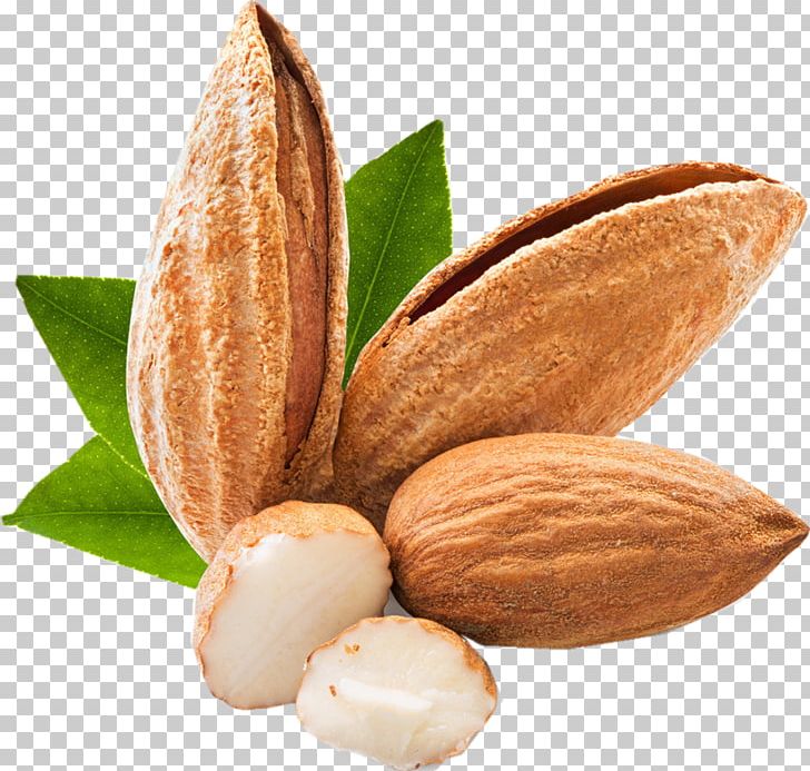 Almond Apricot Kernel Beard Nut Food PNG, Clipart, Almond, Apricot Kernel, Bartpflege, Beard, Cocoa Bean Free PNG Download