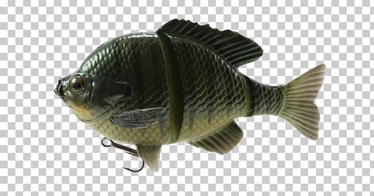 Bluegill Fishing Baits & Lures Swimbait PNG, Clipart, 3 D, Angling, Bait, Bass, Bass Fishing Free PNG Download
