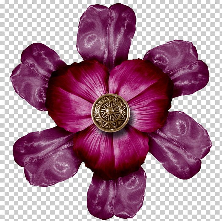 Flower 0 Plant Violet November PNG, Clipart, 2014, 2016, 2017, Blog, Cut Flowers Free PNG Download