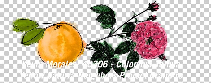French Rose Officinalis Fruit Flower Vegetable PNG, Clipart, Artwork, Body Jewellery, Body Jewelry, Flower, Flowering Plant Free PNG Download