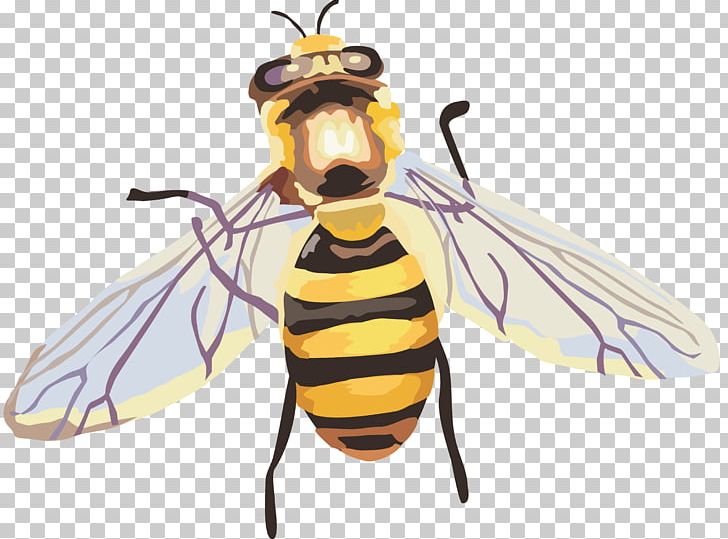Insect Honey Bee PNG, Clipart, Arthropod, Bee, Beehive, Cartoon, Download Free PNG Download