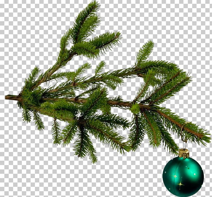 Christmas Tree Branch Christmas Ornament PNG, Clipart, Artificial, Branch, Christmas, Christmas Decoration, Christmas Lights Free PNG Download