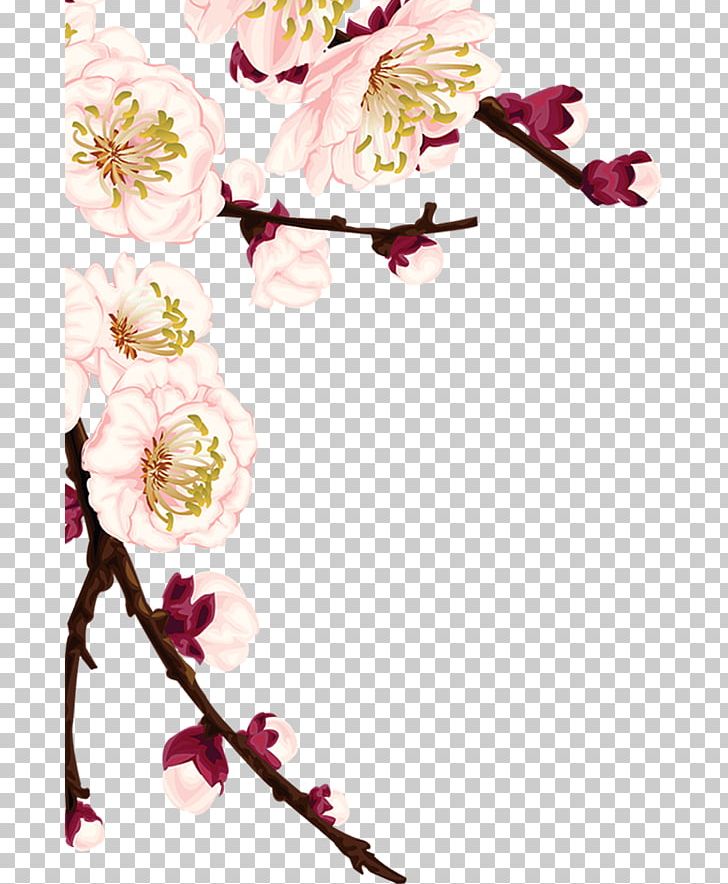 Plum Blossom PNG, Clipart, Blossom, Border, Branch, Cherry Blossom, Christmas Decoration Free PNG Download