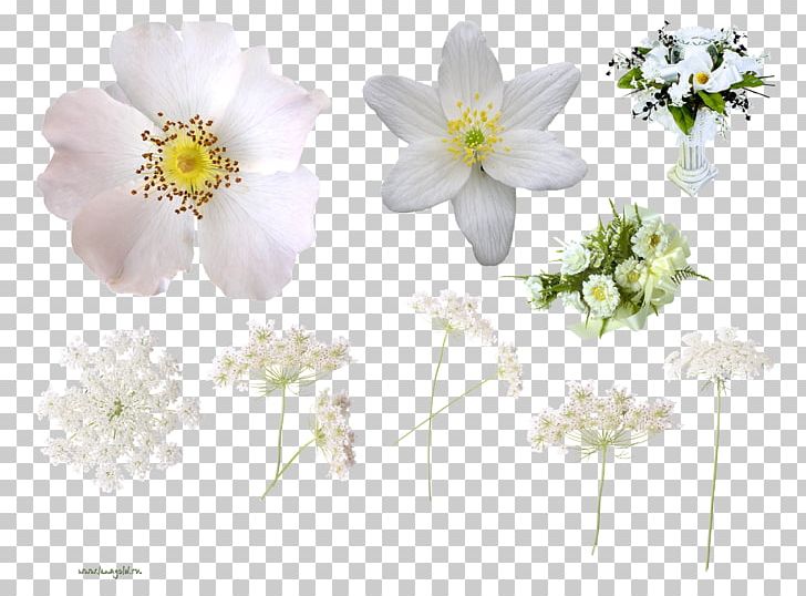 Cut Flowers Floral Design PNG, Clipart, Blossom, Clip Art, Cut Flowers, Depositfiles, Flora Free PNG Download