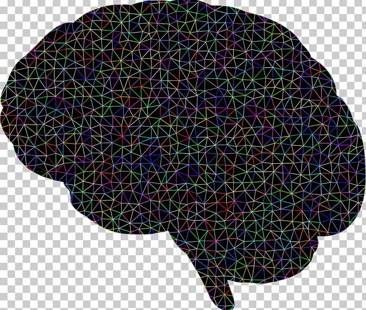 Human Brain Neuron PNG, Clipart, Anatomy, Artificial Neural Network, Brain, Computer Icons, Human Brain Free PNG Download