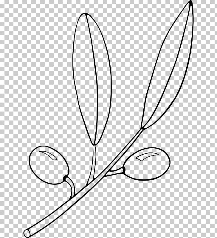 Olive Branch Martini PNG, Clipart, Angle, Area, Artwork, Black, Black And White Free PNG Download