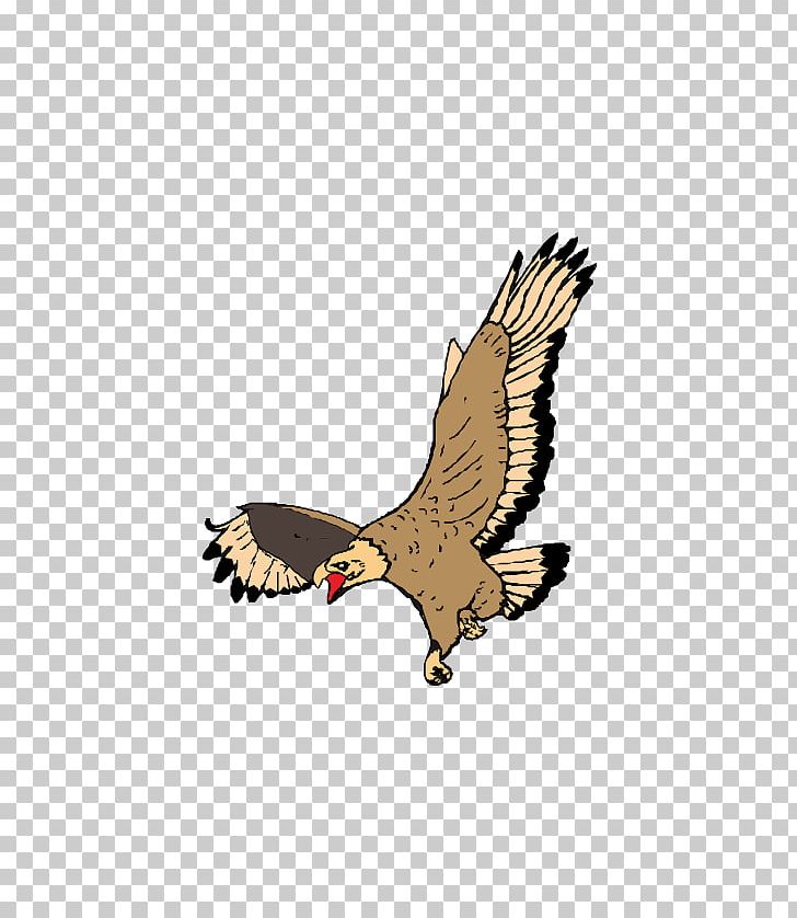 Bald Eagle Drawing PNG, Clipart, Animals, Animation, Architecture, Arts, Bald Eagle Free PNG Download
