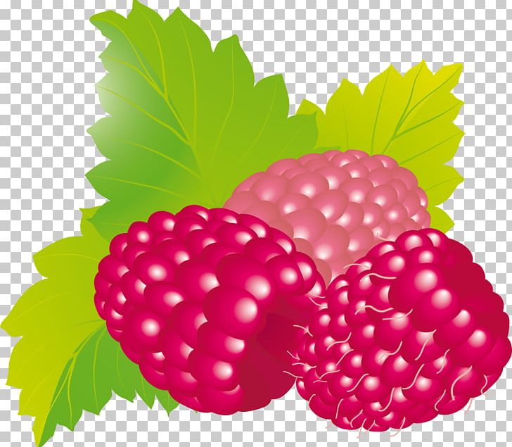 Food Raspberry Health PNG, Clipart, Berry, Boysenberry, Computer Icons, Diet, Eating Free PNG Download