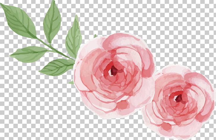 Garden Roses Centifolia Roses Beach Rose Logo PNG, Clipart, Artificial Flower, Business, Flower, Flower Arranging, Flowers Free PNG Download