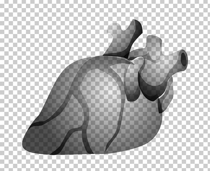 Cardiovascular PNG, Clipart, Black And White, Blood, Cardiac Output, Design, Disease Free PNG Download