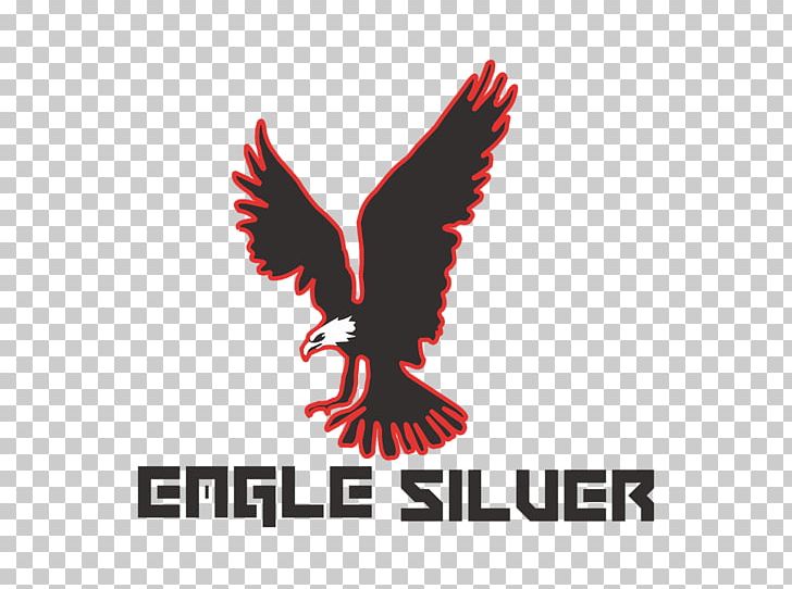 Eagle Logo Brand Flight Font PNG, Clipart, Animals, Beak, Bird, Bird Of Prey, Brand Free PNG Download