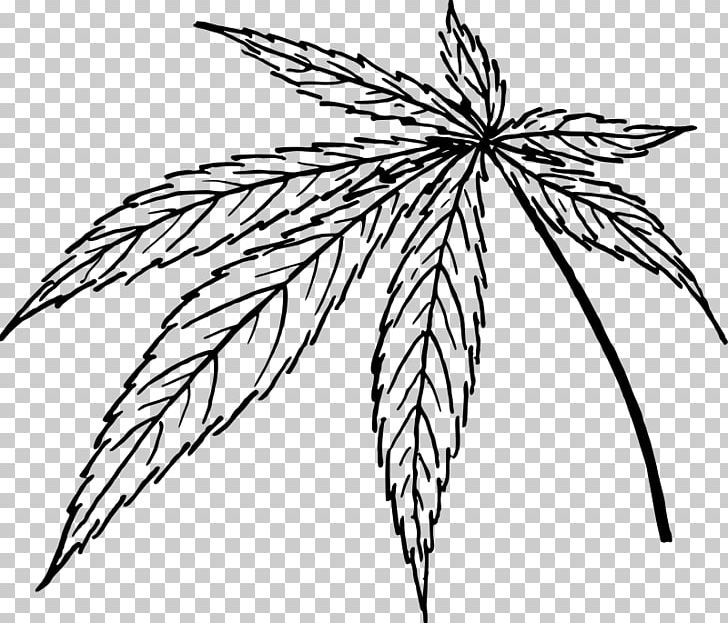 Line Art PNG, Clipart, Art, Black And White, Branch, Cannabis, Cannabis Sativa Free PNG Download