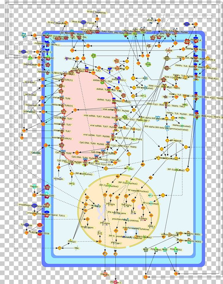 Line Point Map Tuberculosis PNG, Clipart, Area, Art, Diagram, Line, Macrophage Free PNG Download