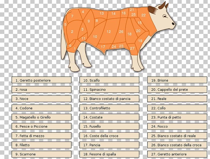 Taurine Cattle Cut Of Beef Meat PNG, Clipart, Angle, Beef, Beef Cuts, Brand, Butcher Free PNG Download