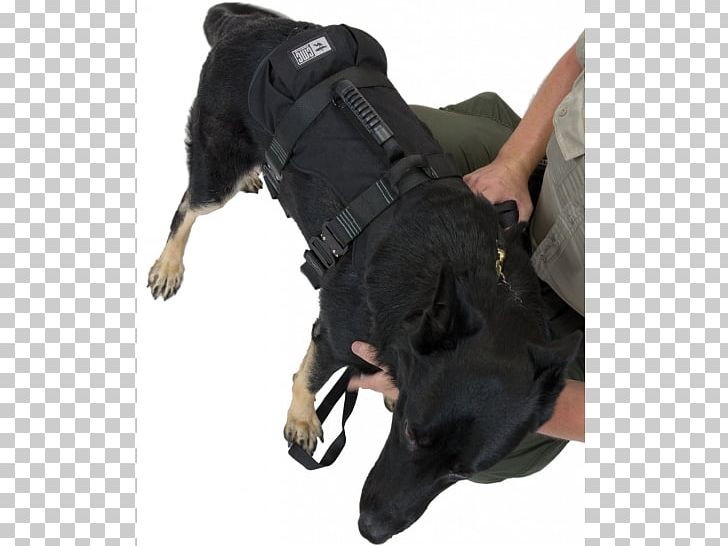 Dog Harness Search And Rescue Dog Police Dog Leash PNG, Clipart, Abseiling, Animals, Biting, Dog, Dog Breed Free PNG Download