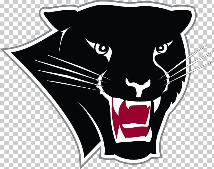 Florida Institute Of Technology Florida Tech Panthers Football Florida Tech Panther Stadium Florida Tech Panthers Women's Basketball American Football PNG, Clipart, Big Cats, Black, Carnivoran, Cat Like Mammal, Fictional Character Free PNG Download