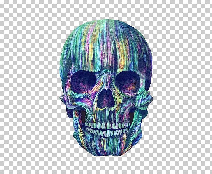Human Skull Symbolism Color Calavera Skeleton PNG, Clipart, Art, Bone, Calavera, Color, Day Of The Dead Free PNG Download