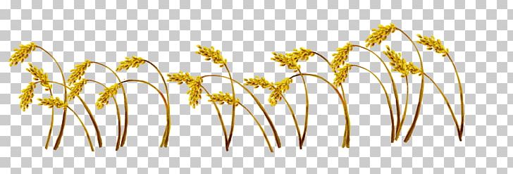 Wheat Computer File PNG, Clipart, Barley, Caryopsis, Cereal, Com, Commodity Free PNG Download