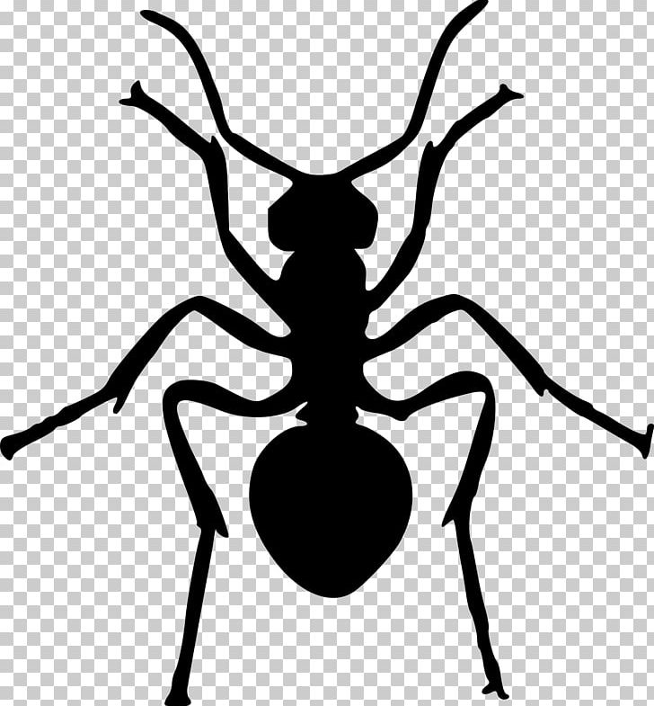 Ant Silhouette Drawing PNG, Clipart, Animals, Ant, Ant Clipart, Art, Arthropod Free PNG Download