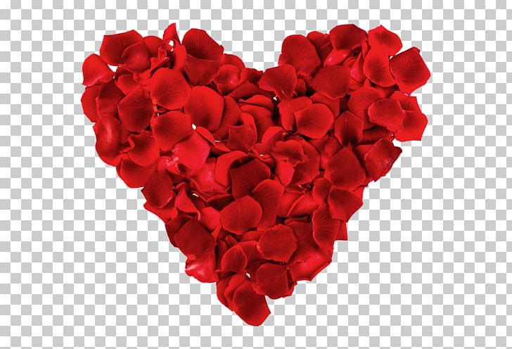 Heart Romance Petal Rose PNG, Clipart,  Free PNG Download