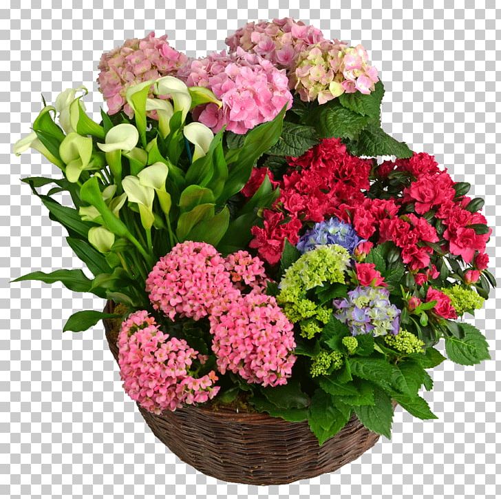 Hydrangea Floral Design Cut Flowers Floristry PNG, Clipart, Annual Plant, Cornales, Cut Flowers, Floral Design, Floristry Free PNG Download