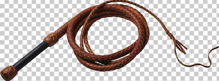 Knout Whip Horse Former Liang PNG, Clipart, Buckskin, Bullwhip, Cowboy, Horse, Horse Tack Free PNG Download