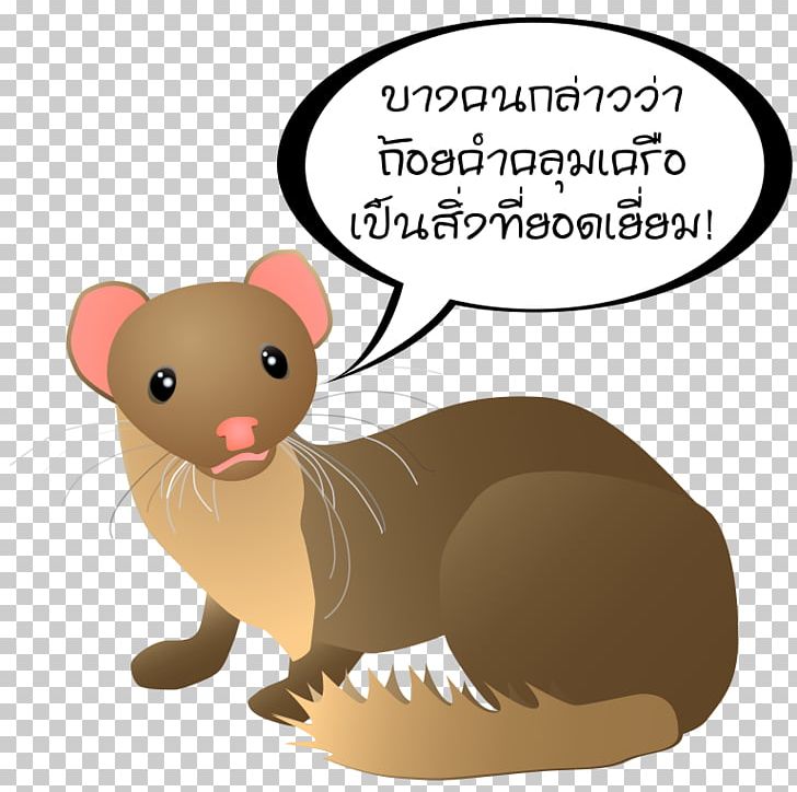 Weasels Weasel Word Mouse Phrase PNG, Clipart, Carnivoran, Cat Like Mammal, Common Opossum, Fauna, Ferret Free PNG Download