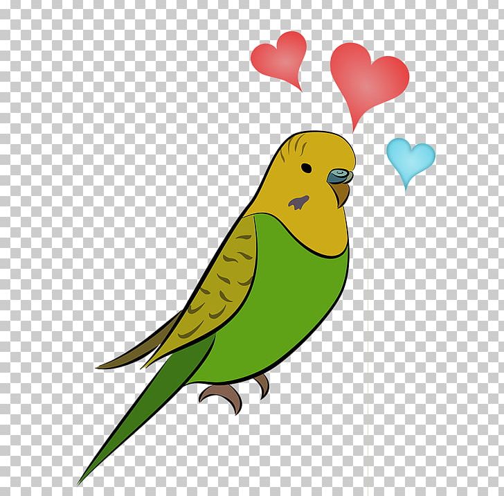 Budgerigar Bird Parrot Parakeet Cockatiel PNG, Clipart, Animal, Animals, Beak, Bird, Budgerigar Free PNG Download