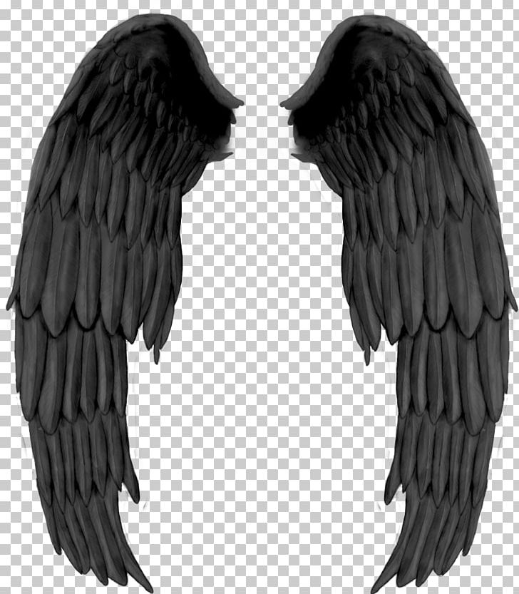 Fallen Angel Drawing Darkness PNG, Clipart, Angel, Beak, Bird Of Prey, Black, Black And White Free PNG Download