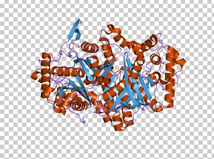 ACAA1 Thiolase Peroxisome Acyltransferase Coenzyme A PNG, Clipart, Abl, Acetylcoa, Acetyl Group, Acylcoa, Acyltransferase Free PNG Download