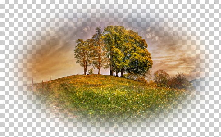 Desktop Tree Nature Story Landscape Switzerland PNG, Clipart, Cloud, Computer Wallpaper, Dag, Desktop Metaphor, Desktop Wallpaper Free PNG Download