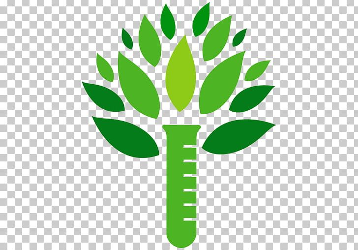 Tree Logo PNG, Clipart,  Free PNG Download