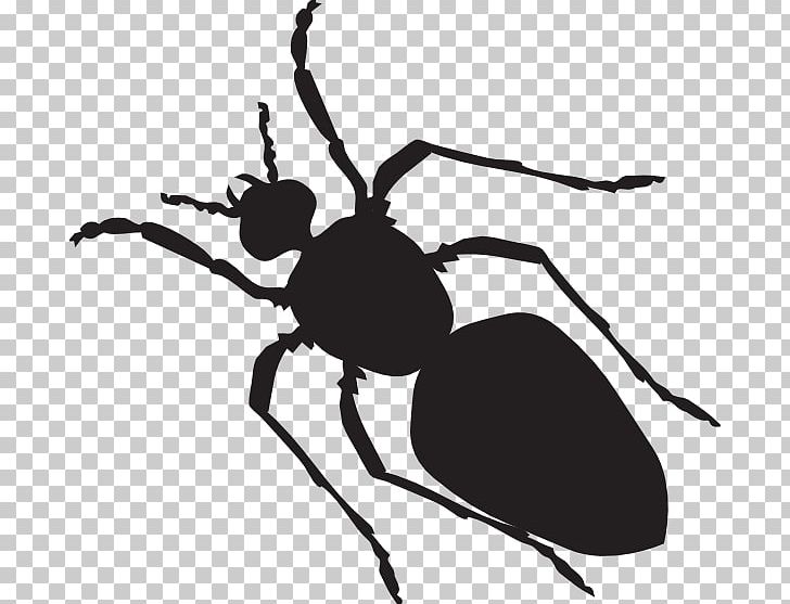 Black Garden Ant Sticker PNG, Clipart, Ant, Arthropod, Beetle, Black, Black And White Free PNG Download