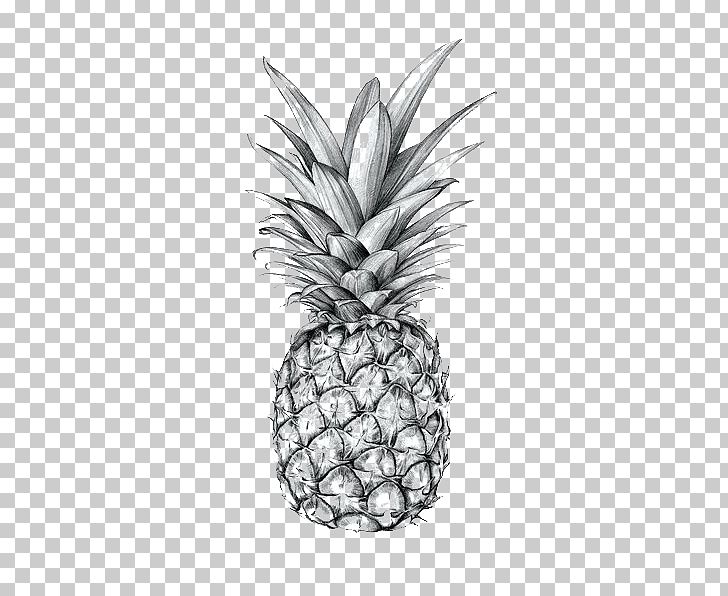 Pineapple Drawing Art Printmaking Sketch PNG, Clipart, Black, Canvas, Flowering Plant, Food, Fruit Free PNG Download