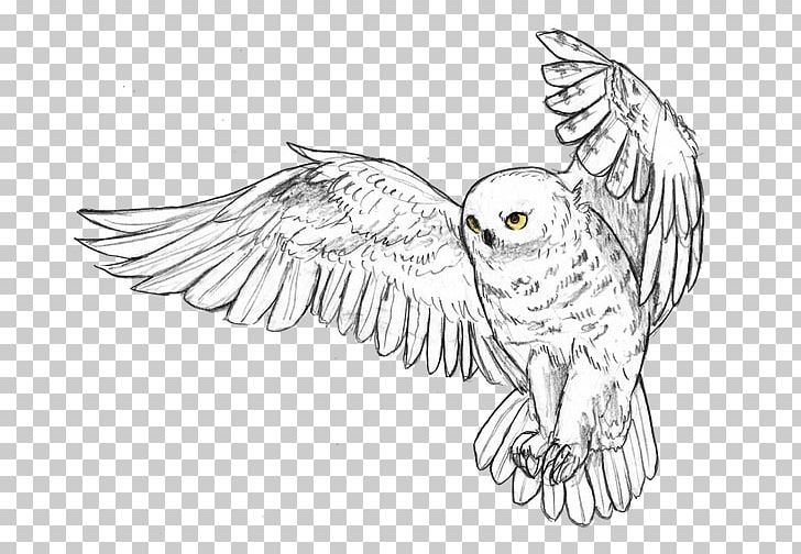 Snowy Owl Beak Feather Bird PNG, Clipart, 1080p, Animals, Artwork, Beak, Bird Free PNG Download