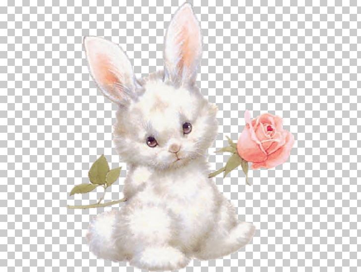 YouTube Friendship Hug PNG, Clipart, Cat, Domestic Rabbit, Easter Bunny, Friendship, Friendster Free PNG Download