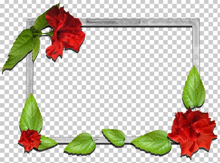 Frames Flower Floral Design Photography PNG, Clipart, Cut Flowers, Drawing, Flora, Floral Design, Floristry Free PNG Download