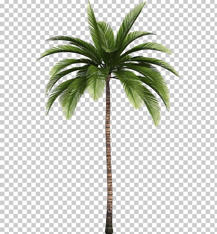 palm tree trunk clip art