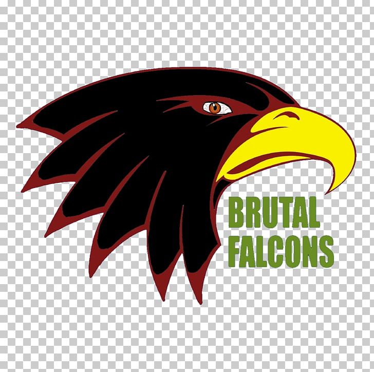 Bald Eagle Logo Beak Brand Font PNG, Clipart, Animals, Bald Eagle, Beak, Bird, Bird Of Prey Free PNG Download