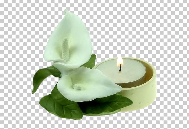 Candle Arum-lily Flower PNG, Clipart, Arum Lilies, Arumlily, Beeswax, Birthday Candle, Calla Free PNG Download