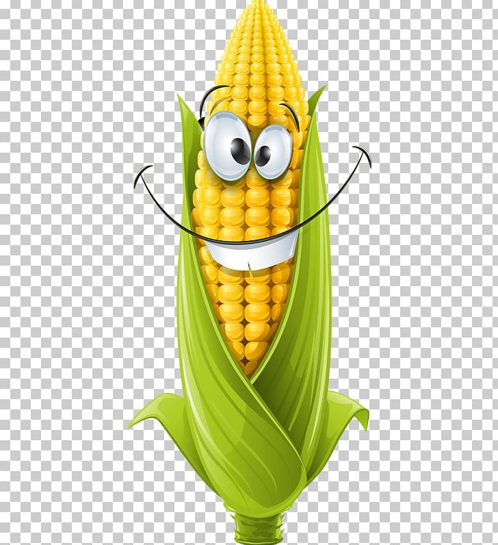 Corn On The Cob Corncob Maize PNG, Clipart, Banana, Banana Family, Cartoon Corn, Commodity, Corn Free PNG Download