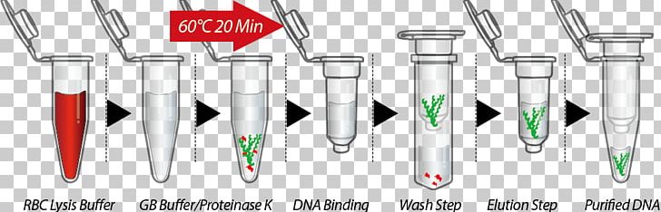 DNA Extraction Cell Plasmid PNG, Clipart, Angle, Blood, Brand, Cell, Dental Extraction Free PNG Download