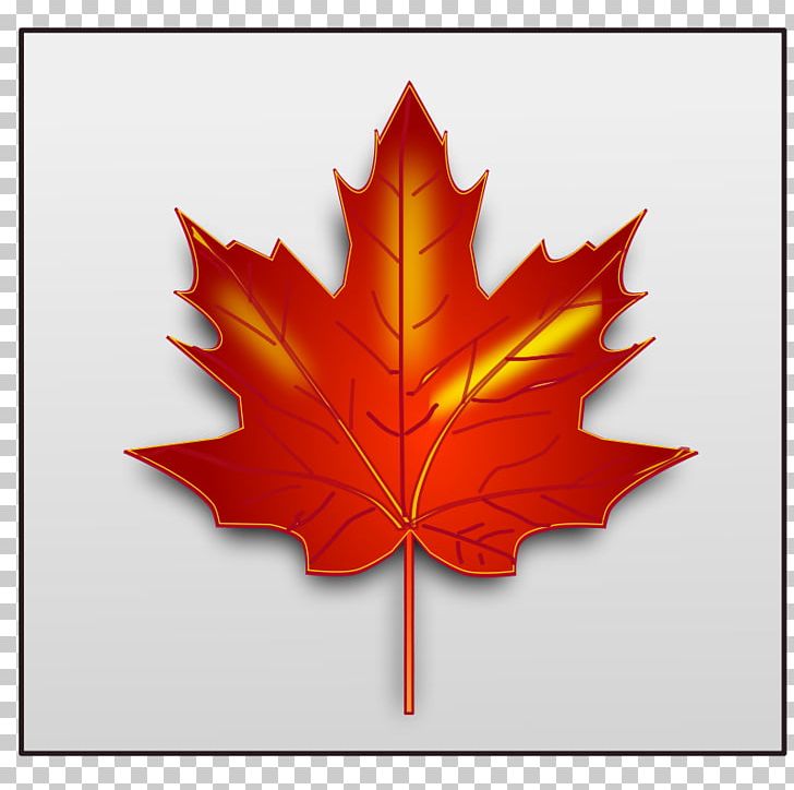 Maple Leaf PNG, Clipart, Autumn, Autumn Leaf Color, Clip Art, Encapsulated Postscript, Flag Of Canada Free PNG Download